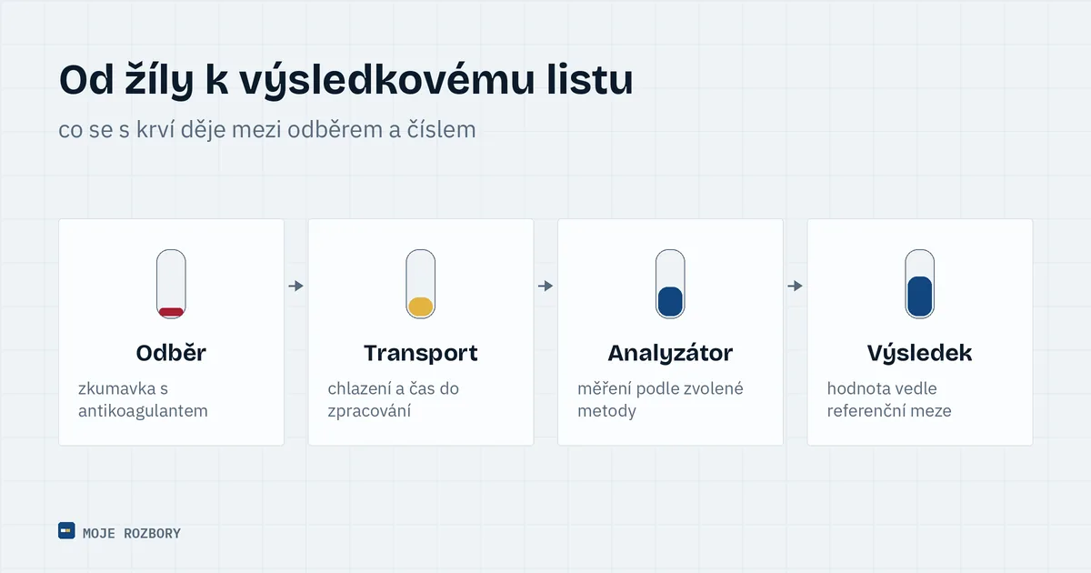Schéma cesty vzorku krve od odběru přes transport a zpracování až po vydání výsledku